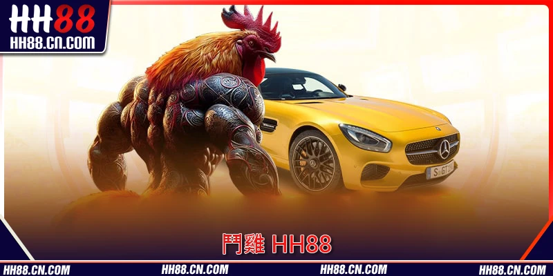 最值得體驗嘅 鬥雞 HH88 類型