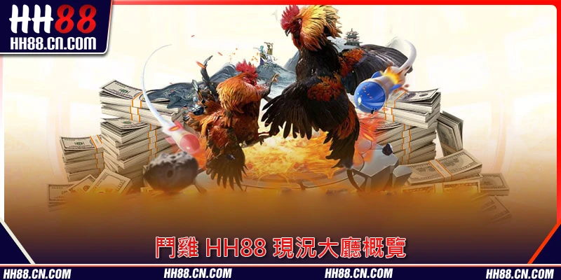 鬥雞 HH88 現況大廳概覽